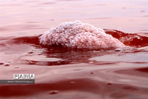 دریاچه ارومیه