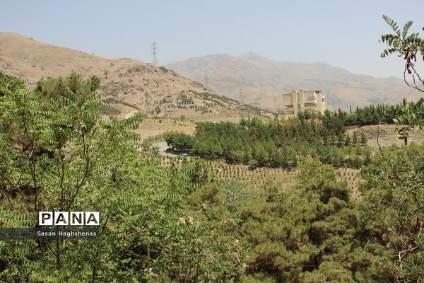 اردوی فرهنگی، تربیتی «شناسنامه‌های شهرمن»