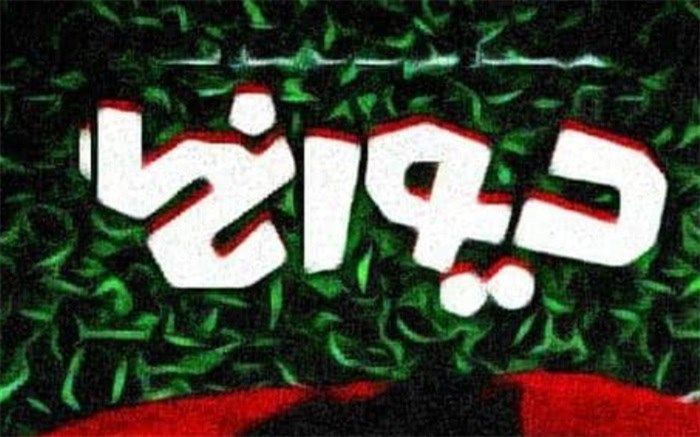 «دیوانگی» رتبه ۲ کنکور در شبکه مستند