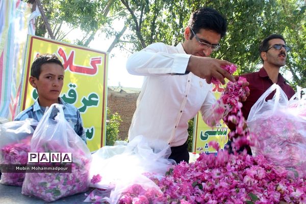 دهمین جشنواره گل محمدی در روستای آمقان بخش عنصرود