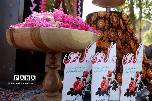 دهمین جشنواره گل محمدی در روستای آمقان بخش عنصرود