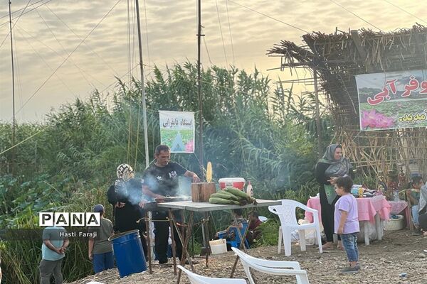 سومین جشنواره گل‌های نیلوفر آبی در مازندران