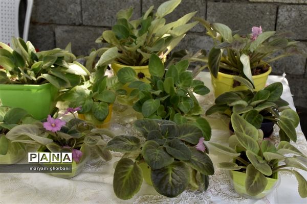 نمایشگاه دست سازه‌ها در بهنمیر