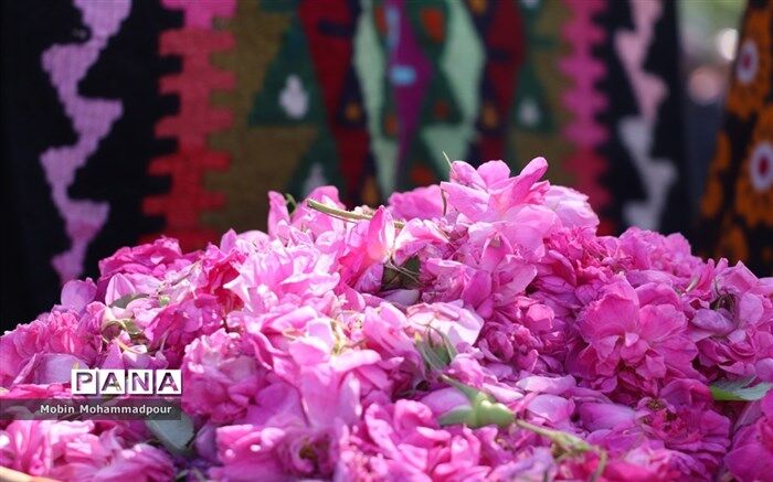 معرفی چند گل محبوب در دنیا
