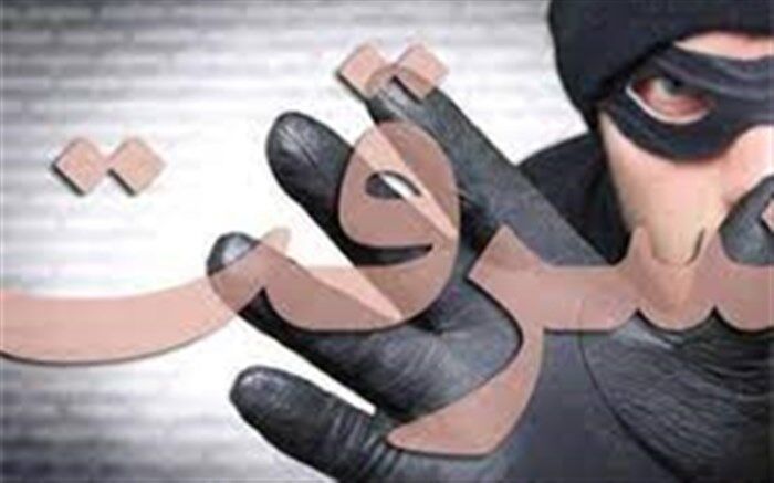 دستگیری سارقان طلا در بیرجند