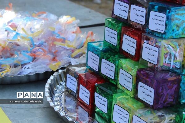 همایش روز عفاف و حجاب در گلوگاه