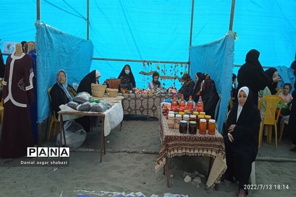 اجتماع مردمی مدافعان حریم خانواده در نور