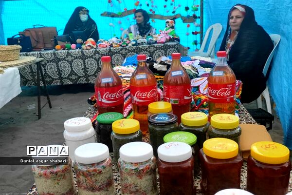 اجتماع مردمی مدافعان حریم خانواده در نور