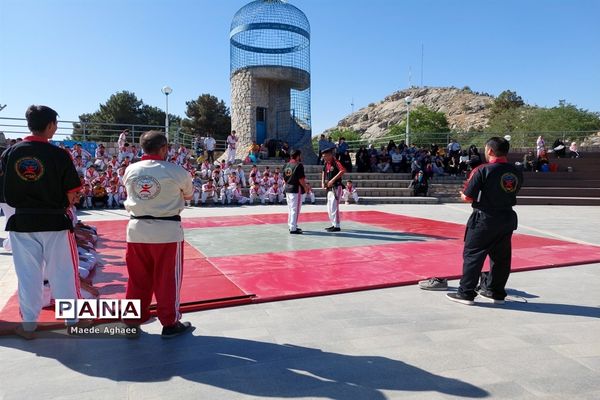همایش پیاده‌روی و نمایش حرکات رزمی ورزشکاران استان خراسان‌ رضوی