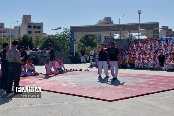 همایش پیاده‌روی و نمایش حرکات رزمی ورزشکاران استان خراسان‌ رضوی