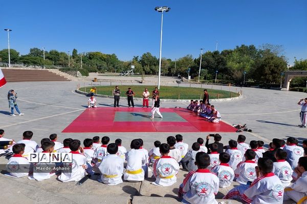 همایش پیاده‌روی و نمایش حرکات رزمی ورزشکاران استان خراسان‌ رضوی