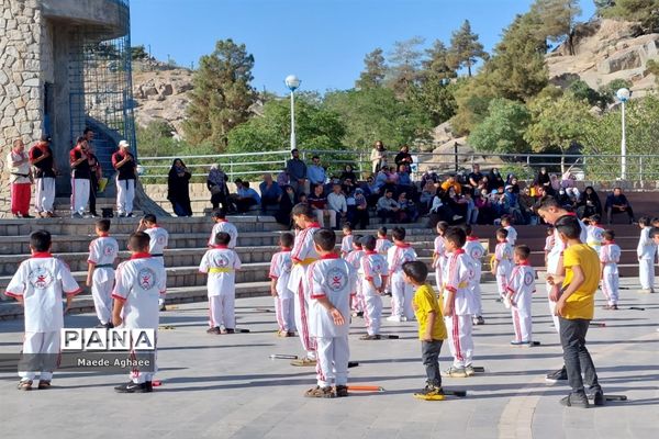 همایش پیاده‌روی و نمایش حرکات رزمی ورزشکاران استان خراسان‌ رضوی