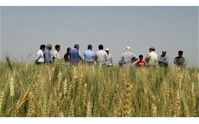 ۸۵ درصد اعتبارات وزارت جهاد کشاورزی در حوزه آب و خاک است