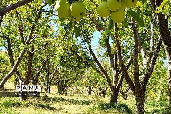 طبیعت وصف ناپذیر روستای آییه‌ورزان