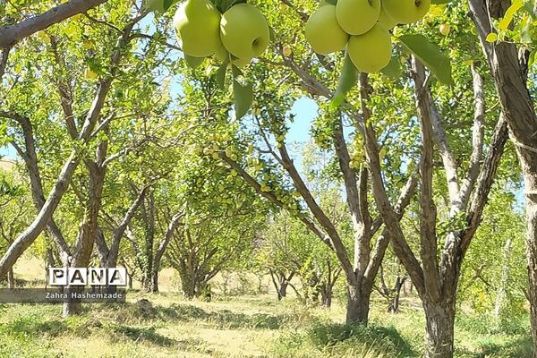 طبیعت وصف ناپذیر روستای آییه‌ورزان