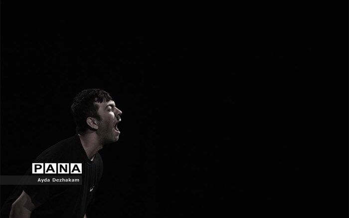 حامد پورمحمد: نمایش‌های پرمخاطب در حال یک وداع با‌شکوه با تئاتر هستند