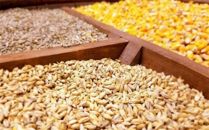 مشکلات واردکنندگان نهاده‌های دامی بررسی شود
