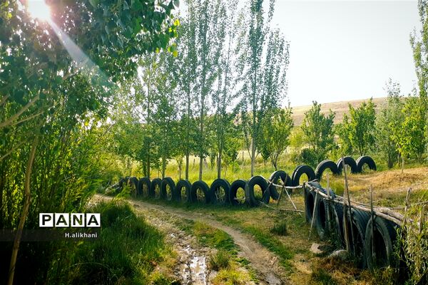 طبیعت تابستانی روستای دره بید شهرستان کوهرنگ