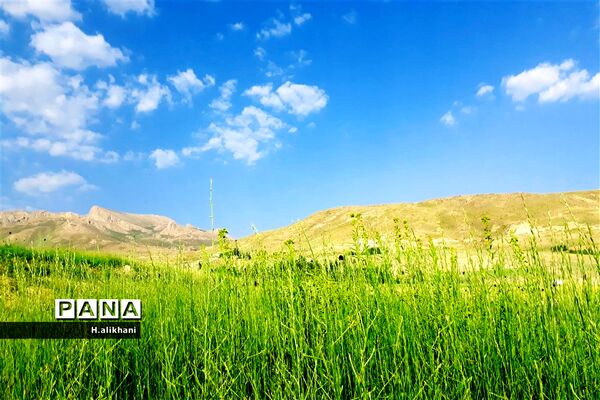 طبیعت تابستانی روستای دره بید شهرستان کوهرنگ