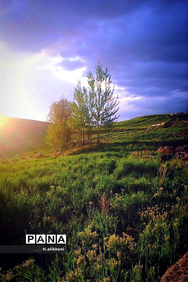 طبیعت تابستانی روستای دره بید شهرستان کوهرنگ