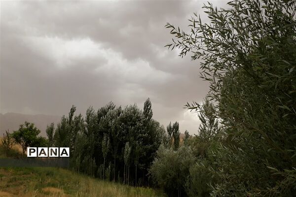 طبیعت تابستانی روستای دره بید شهرستان کوهرنگ