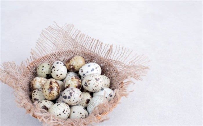 تخم بلدرچین چه خواصی برای کودکان دارد؟