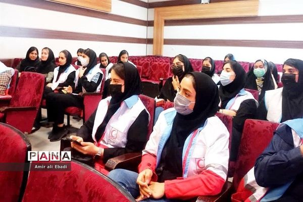 کارگاه آموزشی جمعیت هلال احمر ساری