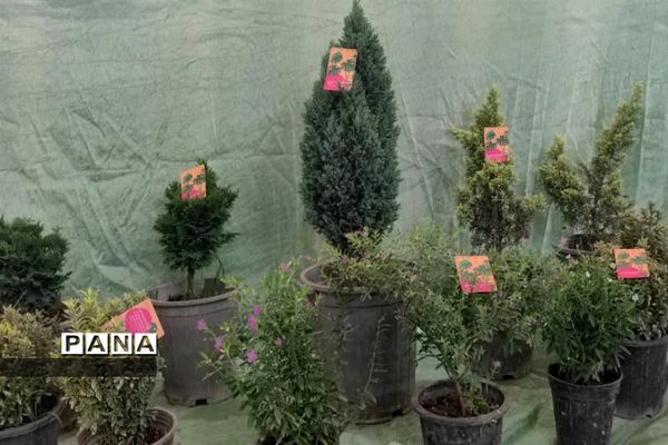 ‌نمایشگاه اسوه حوزه‌ مقاومت بسیج چمستان