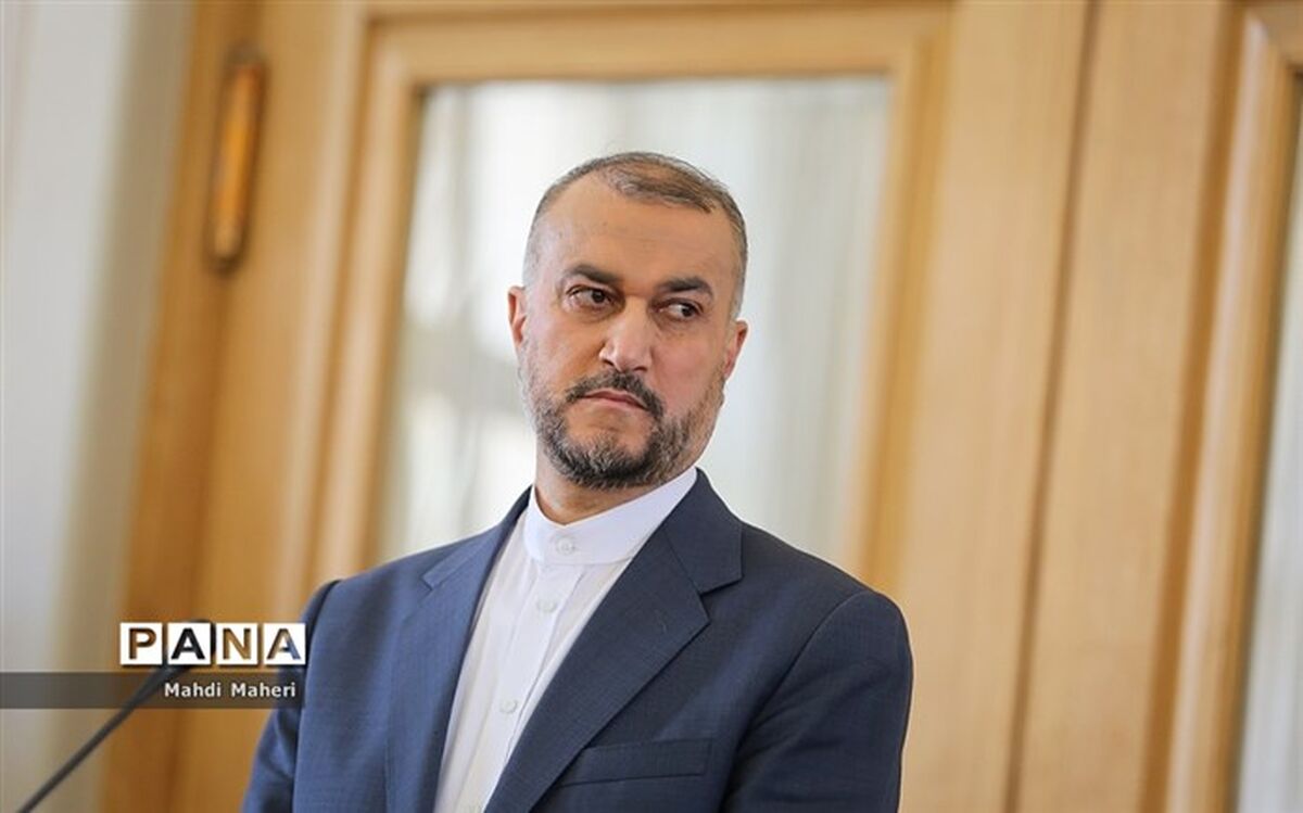 تمرکز کنونی دولت بر تدوین قانون جامع ایرانیان خارج از کشور است