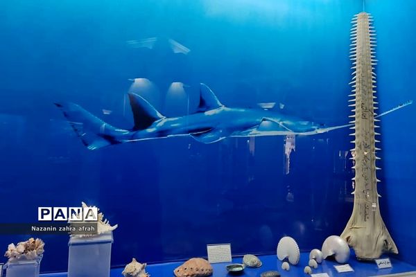 موزه رضوی در حرم مطهر امام رضا(ع)