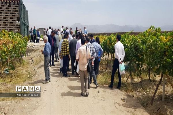 برگزاری مراسم روز مزرعه در خلیل‌آباد