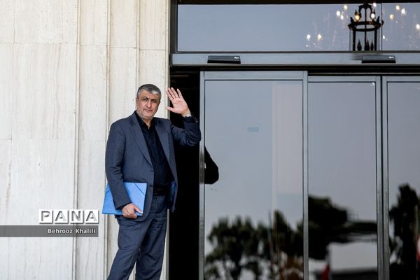 حاشیه جلسه هیات دولت - 12مرداد