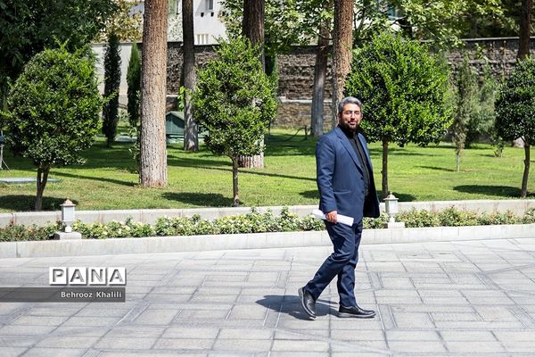 حاشیه جلسه هیات دولت - 12مرداد