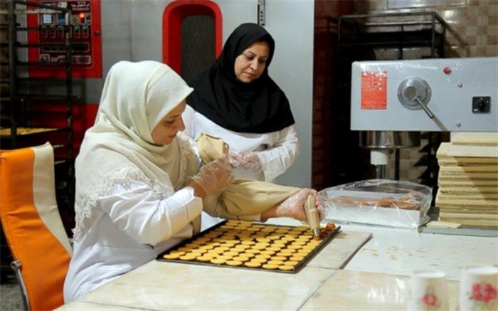 اختصاص 42 درصد طرح‌های برکت به بانوان کارآفرین