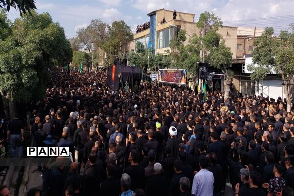 حرکت دسته حسینیه اعظم زنجان در یوم العباس