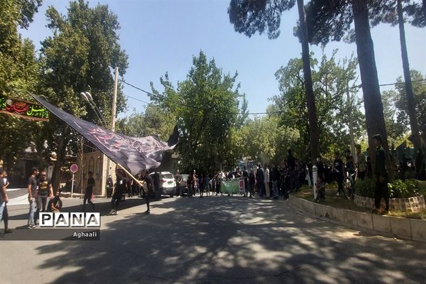 برگزاری مراسم سوگواره احلی من العسل در شهرستان نطنز