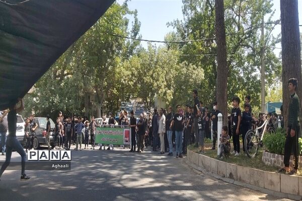 برگزاری مراسم سوگواره احلی من العسل در شهرستان نطنز