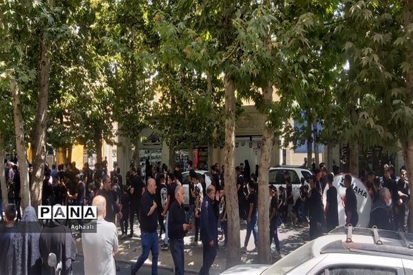 برگزاری مراسم سوگواره احلی من العسل در شهرستان نطنز