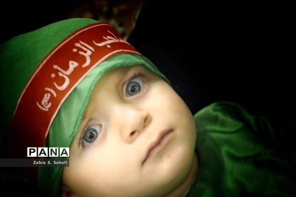 سوگواره شیرخوارگان حسینی(ع) در حرم حضرت معصومه(س)-2
