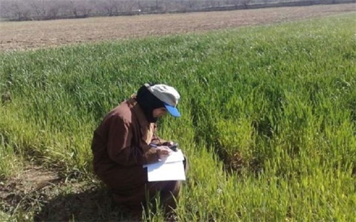 هنرستان‌های کشاورزی باید به بخش خصوصی متصل شوند تا در اقتصاد کشاورزی مؤثر باشند