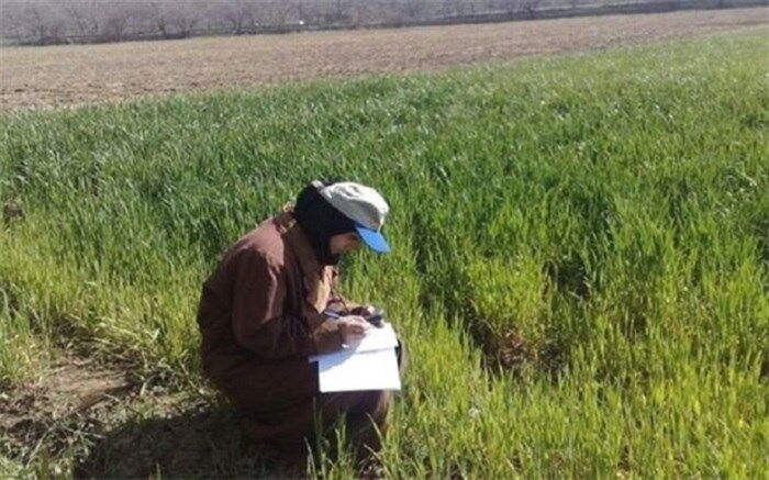 هنرستان‌های کشاورزی باید به بخش خصوصی متصل شوند تا در اقتصاد کشاورزی مؤثر باشند