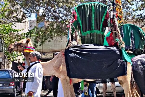 مشهد مقدس در روز تاسوعا