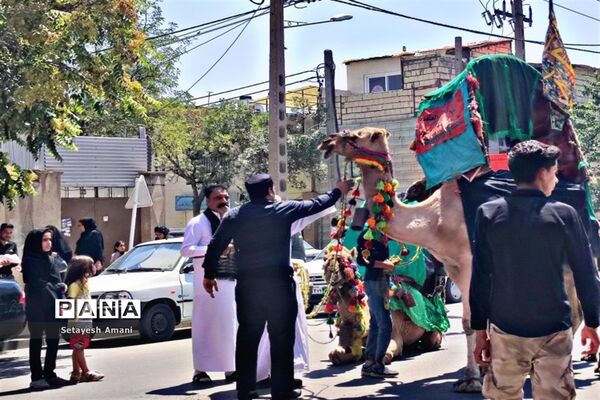 مشهد مقدس در روز تاسوعا