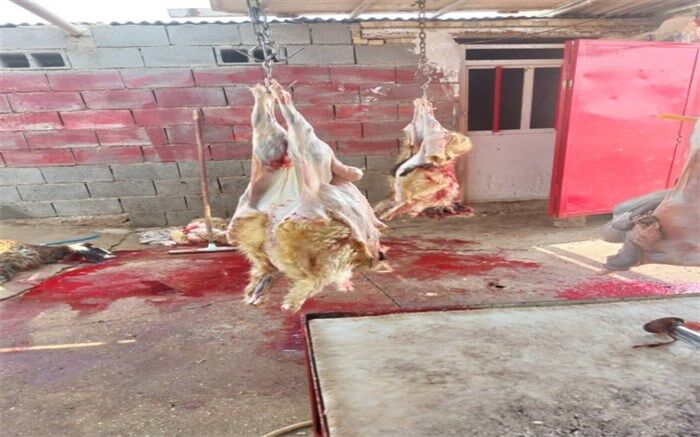 توزیع گوشت قربانی،سنتی نیکو و دیرینه در بین مسلمانان