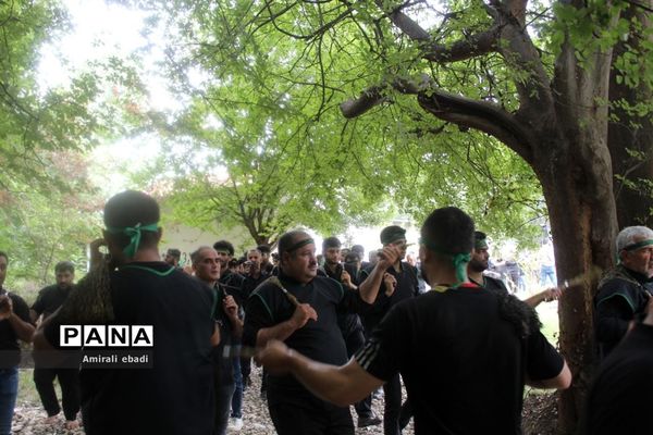 مراسم تاسوعای حسینی در بادله میاندورود