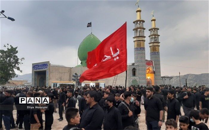 عزاداران سیدالشهدا عاشقانه خدمت می‌کنند