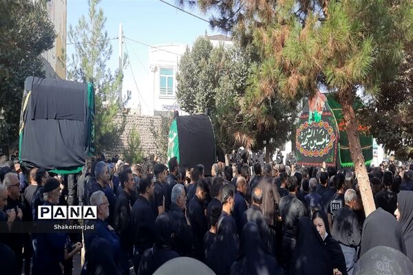 آیین نخل گردانی در شهر بادرود