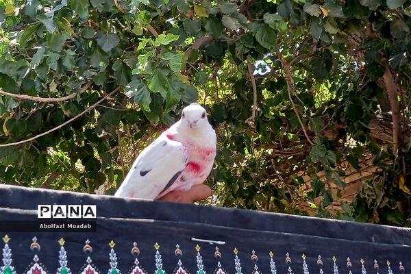 بزرگترین همایش روز عاشورای حسینی در دهنو، خلیل‌آباد