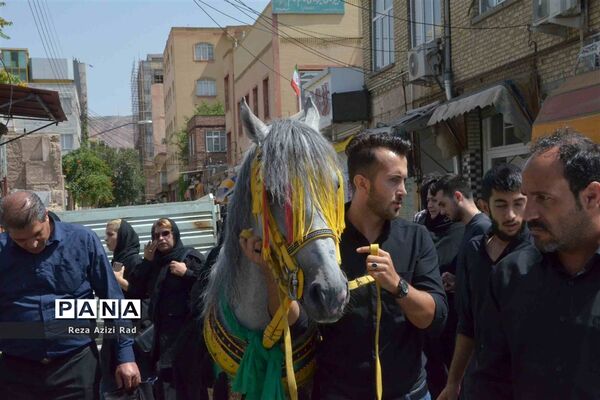 عاشورای حسینی در تبریز -۲