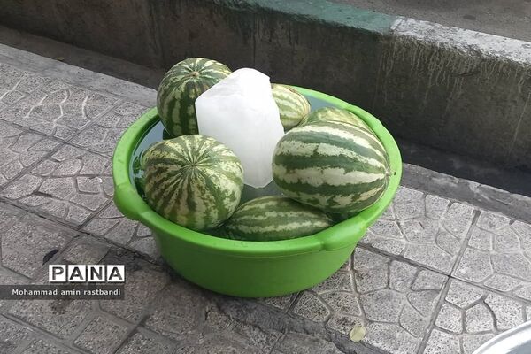 عاشورای حسینی در تهران نو